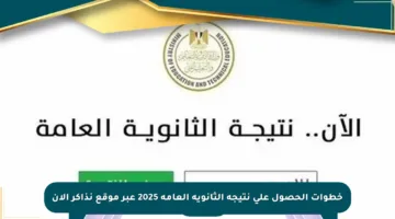 خطوات الحصول على نتيجة الثانوية العامة 2025 عبر موقع نذاكر الآن